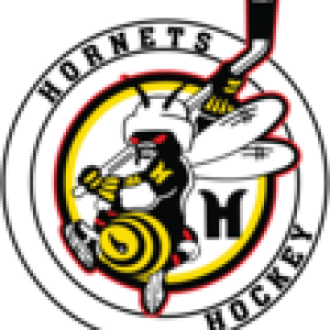 Mount Lebanon Hornets