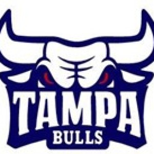 Tampa Bulls