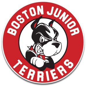 Boston Jr. Terriers