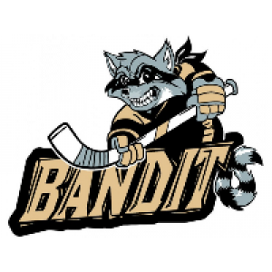 Atlanta Ice Bandits