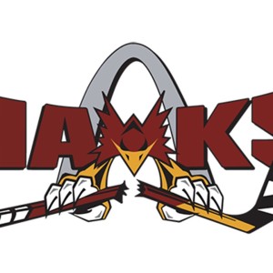 Southern Illinois IceHawks